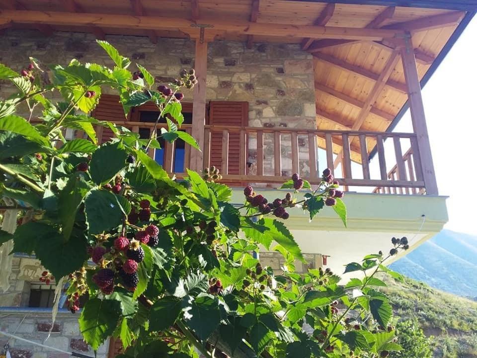 Bujtina Hader Xhebro Hostel Tepelene Ngoại thất bức ảnh